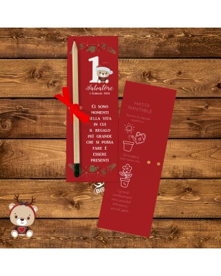 Kit 7 pz. Matita con semi da piantare con packaging  "Christmas time"